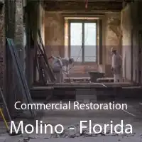 Commercial Restoration Molino - Florida