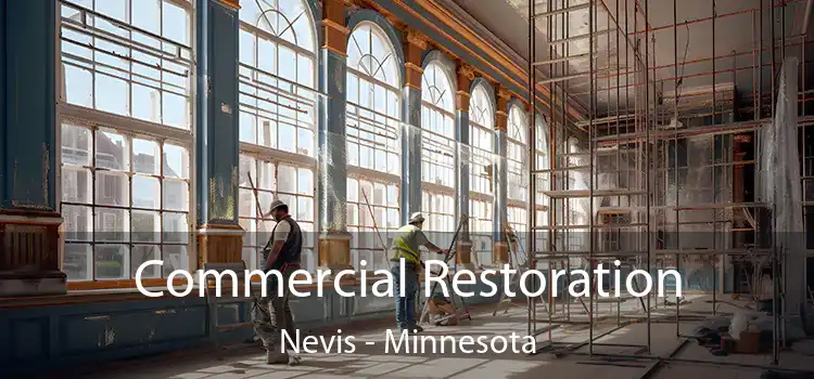 Commercial Restoration Nevis - Minnesota