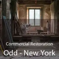 Commercial Restoration Odd - New York