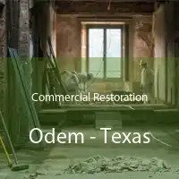 Commercial Restoration Odem - Texas