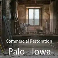 Commercial Restoration Palo - Iowa