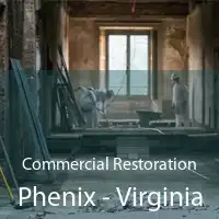 Commercial Restoration Phenix - Virginia