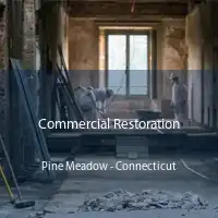 Commercial Restoration Pine Meadow - Connecticut