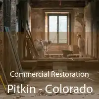 Commercial Restoration Pitkin - Colorado