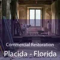 Commercial Restoration Placida - Florida