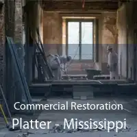 Commercial Restoration Platter - Mississippi