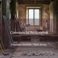 Commercial Restoration Princeton Junction - New Jersey