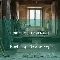 Commercial Restoration Roebling - New Jersey