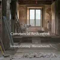 Commercial Restoration Roxbury Crossing - Massachusetts