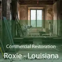 Commercial Restoration Roxie - Louisiana