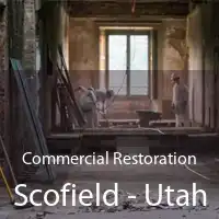 Commercial Restoration Scofield - Utah