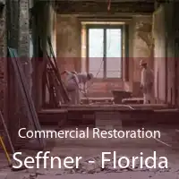 Commercial Restoration Seffner - Florida
