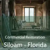 Commercial Restoration Siloam - Florida