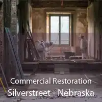 Commercial Restoration Silverstreet - Nebraska