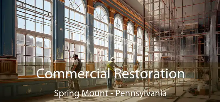 Commercial Restoration Spring Mount - Pennsylvania