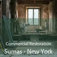 Commercial Restoration Sumas - New York