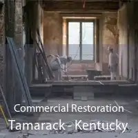 Commercial Restoration Tamarack - Kentucky