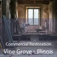 Commercial Restoration Vine Grove - Illinois