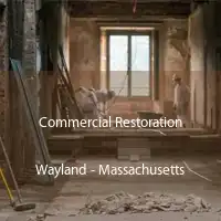 Commercial Restoration Wayland - Massachusetts