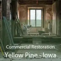 Commercial Restoration Yellow Pine - Iowa