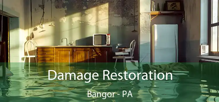 Damage Restoration Bangor - PA