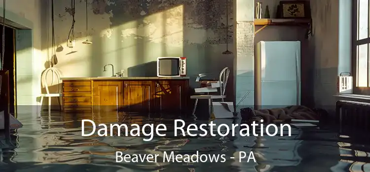 Damage Restoration Beaver Meadows - PA