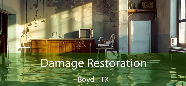 Damage Restoration Boyd - TX