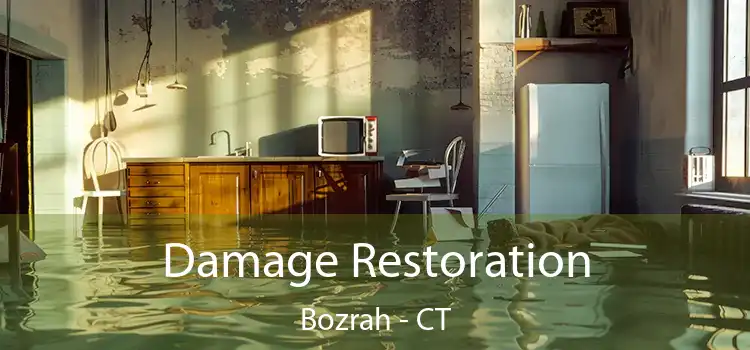 Damage Restoration Bozrah - CT