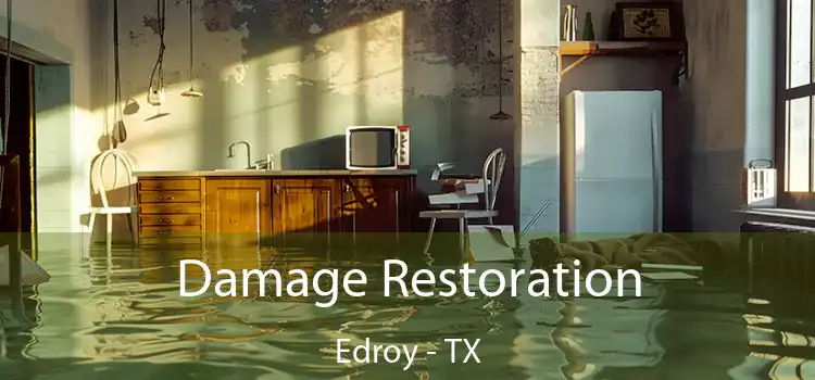 Damage Restoration Edroy - TX