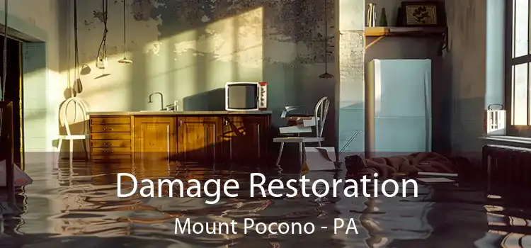 Damage Restoration Mount Pocono - PA