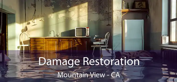 Damage Restoration Mountain View - CA