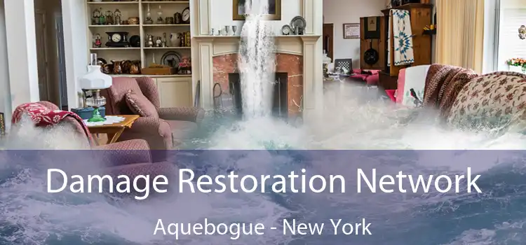 Damage Restoration Network Aquebogue - New York