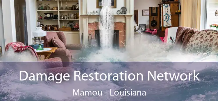 Damage Restoration Network Mamou - Louisiana