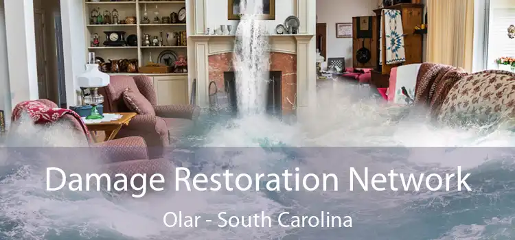 Damage Restoration Network Olar - South Carolina