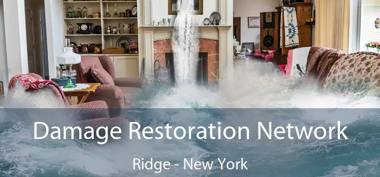 Damage Restoration Network Ridge - New York