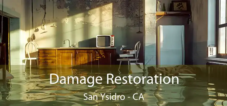 Damage Restoration San Ysidro - CA