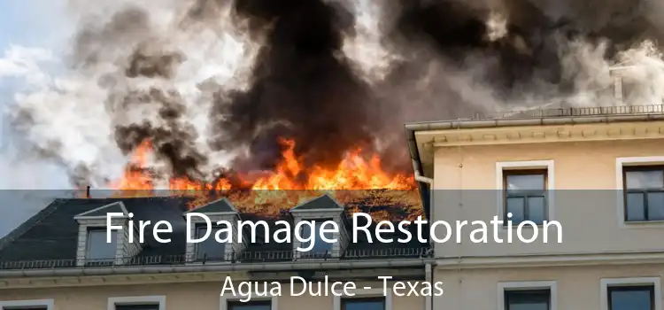 Fire Damage Restoration Agua Dulce - Texas