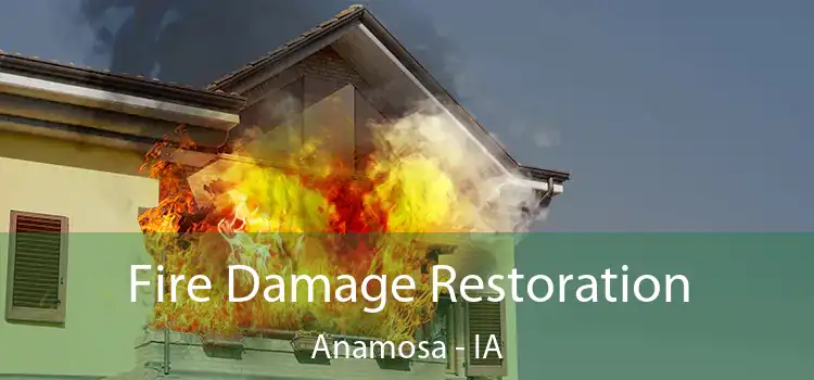 Fire Damage Restoration Anamosa - IA