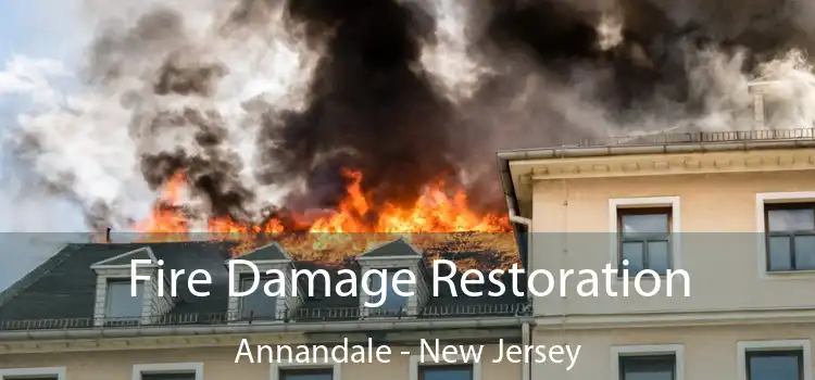 Fire Damage Restoration Annandale - New Jersey