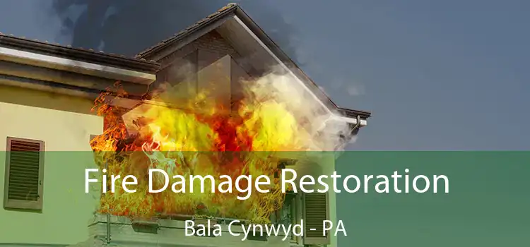 Fire Damage Restoration Bala Cynwyd - PA