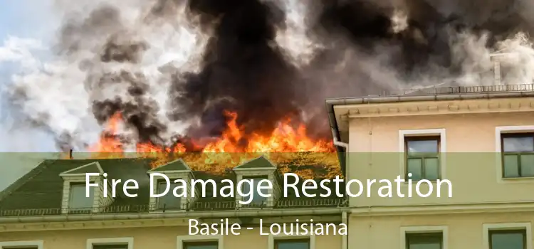 Fire Damage Restoration Basile - Louisiana