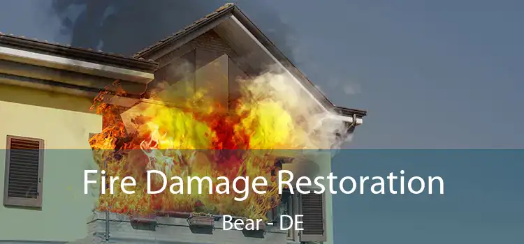 Fire Damage Restoration Bear - DE