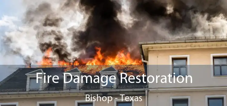 Fire Damage Restoration Bishop - Texas