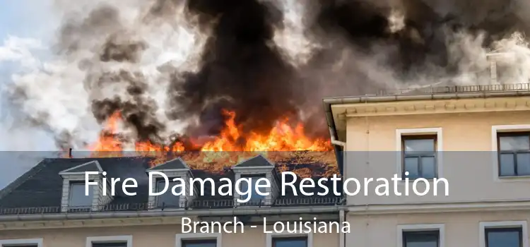 Fire Damage Restoration Branch - Louisiana