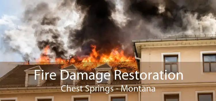 Fire Damage Restoration Chest Springs - Montana