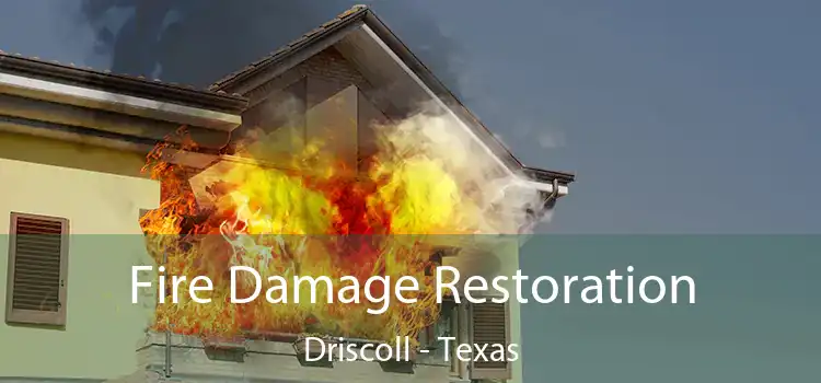 Fire Damage Restoration Driscoll - Texas