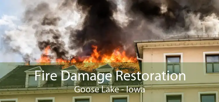 Fire Damage Restoration Goose Lake - Iowa