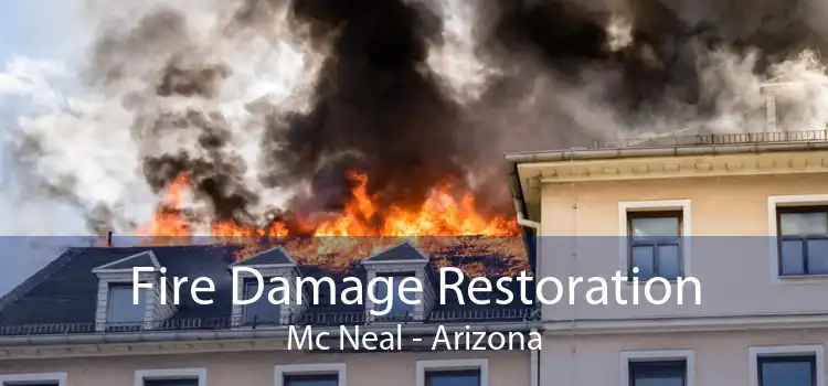 Fire Damage Restoration Mc Neal - Arizona