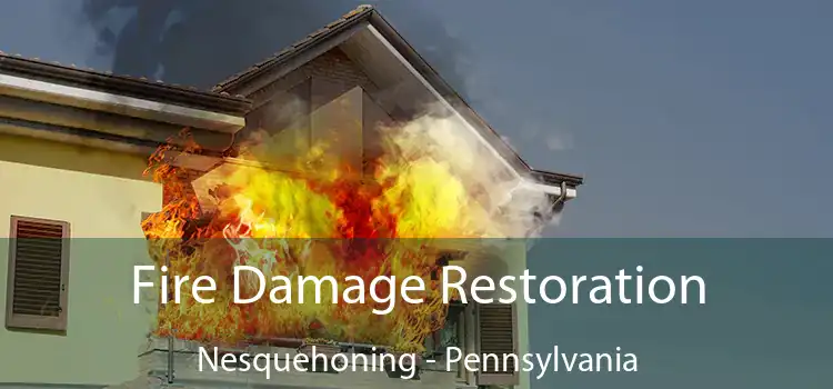 Fire Damage Restoration Nesquehoning - Pennsylvania