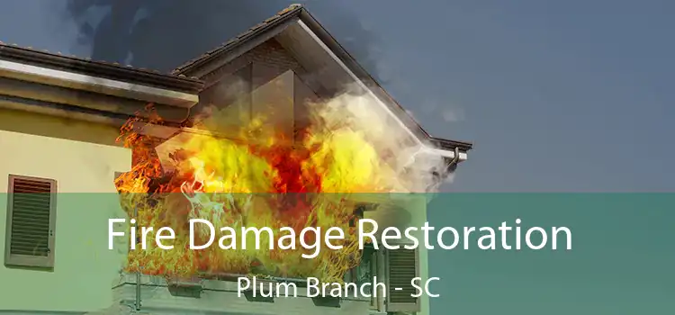 Fire Damage Restoration Plum Branch - SC